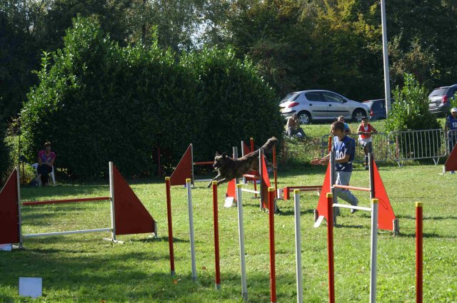agility verriere 2011-10-01